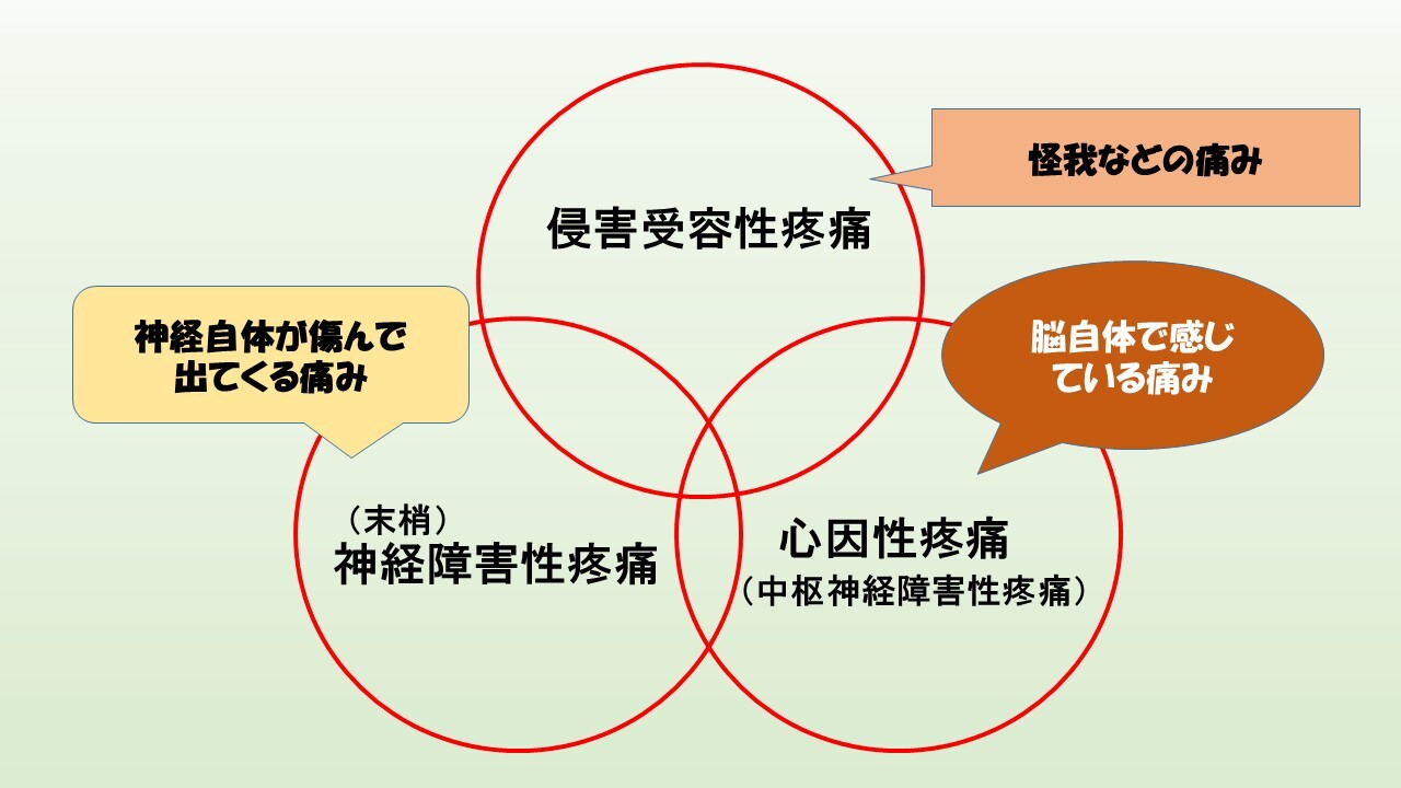 vol.4　腰痛の原因 ― 整形外科と他科疾患の両面から知っておきたいこと